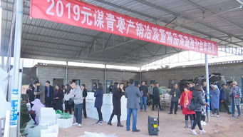 元謀蔬菜種業博覽會 拓展交流打造綠色食品牌，文化藝術交流活動增添新活力